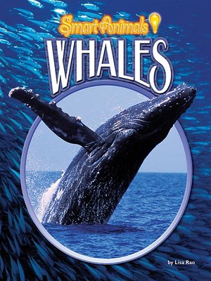 cover image of Whales